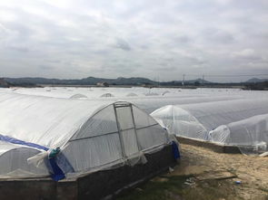 福建省海洋与渔业厅水产品质量安全追溯网