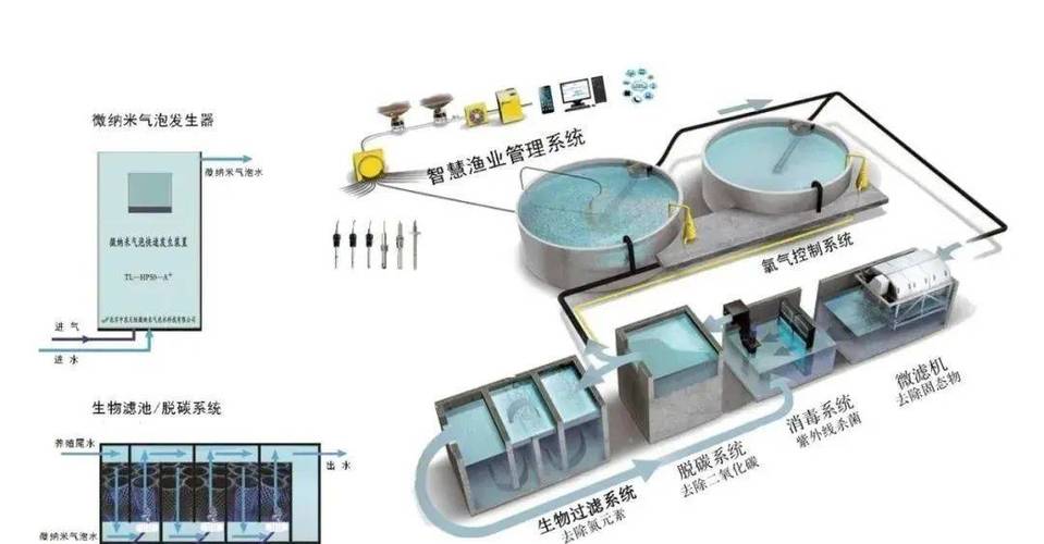 智商税还是渔业未来？循环水养殖的双面真相